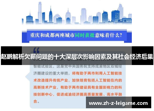 赵鹏解析欠薪问题的十大深层次影响因素及其社会经济后果