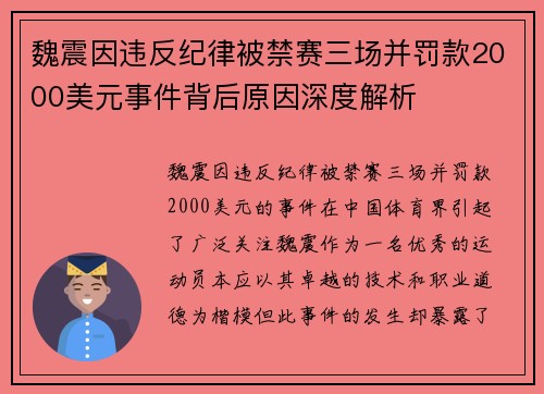 魏震因违反纪律被禁赛三场并罚款2000美元事件背后原因深度解析